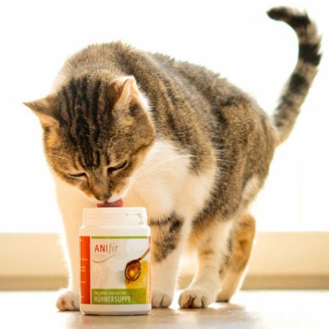 Cat Dog Accessories B.A.R.F. Snacks Supplements Chicken soup 80g 1 Piece -2- Anifit